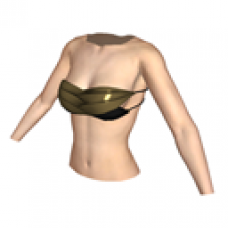 Golden Bikini Top